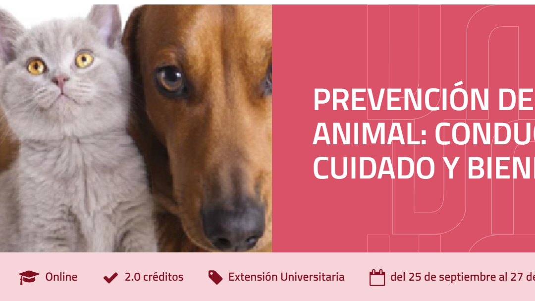 Prevención do maltrato animal: condutas de coidado e benestar