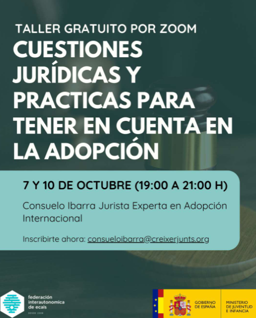 Cuestións xurídicas e prácticas para ter en conta na adopción internacional