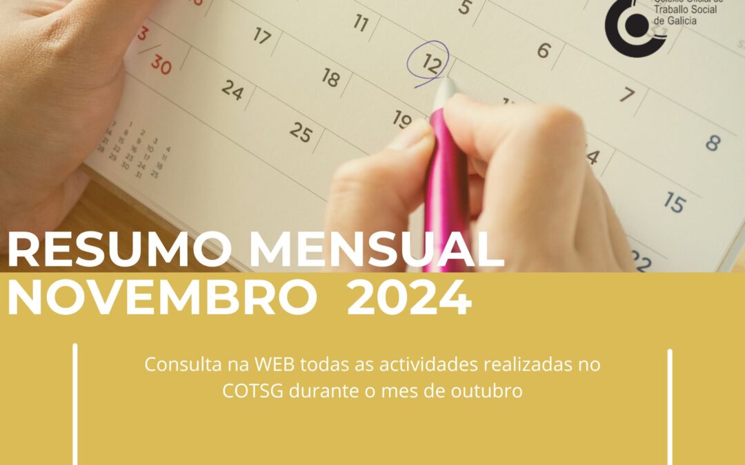 RESUMO MENSUAL  NOVEMBRO 2024