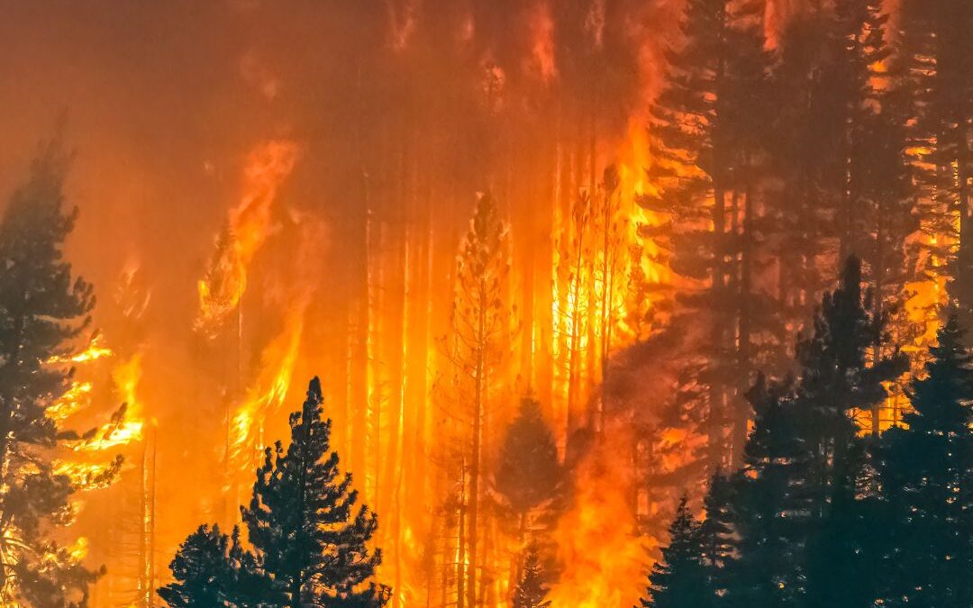 🔥 Emerxencia polos incendios en Galicia 🔥
