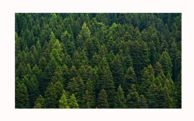 Pacto de estado fronte a emerxencia climática