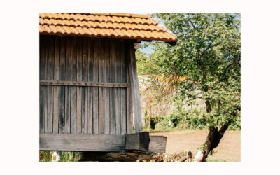 A Xunta anuncia 25 novos centros residenciais e máis de 1.800 prazas para persoas maiores